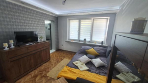 Apartament Park Saski